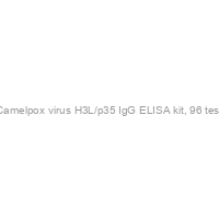 Recombivirus Camelpox virus H3L/p35 IgG ELISA kit, 96 tests, Quantitative
